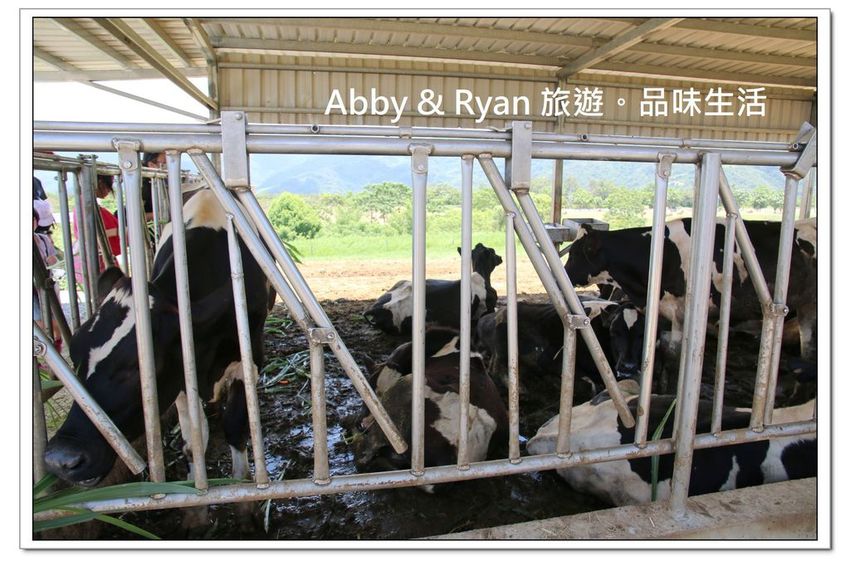 newIMG_2591.jpg newIMG_2591.jpg