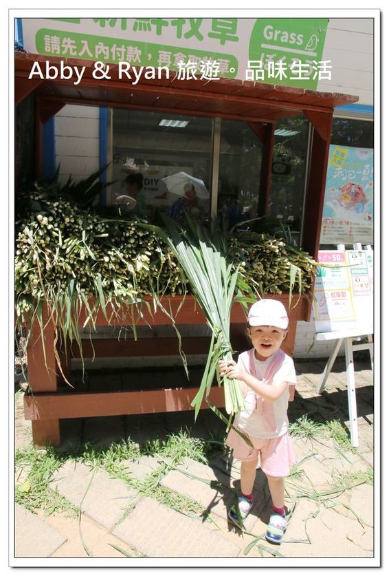 newIMG_2478.jpg newIMG_2478.jpg