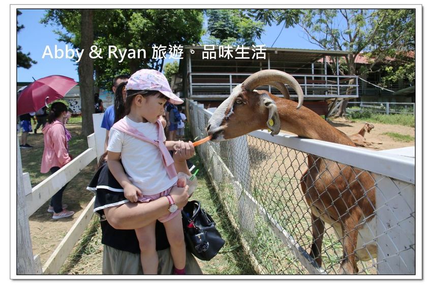 newIMG_2593.jpg newIMG_2593.jpg