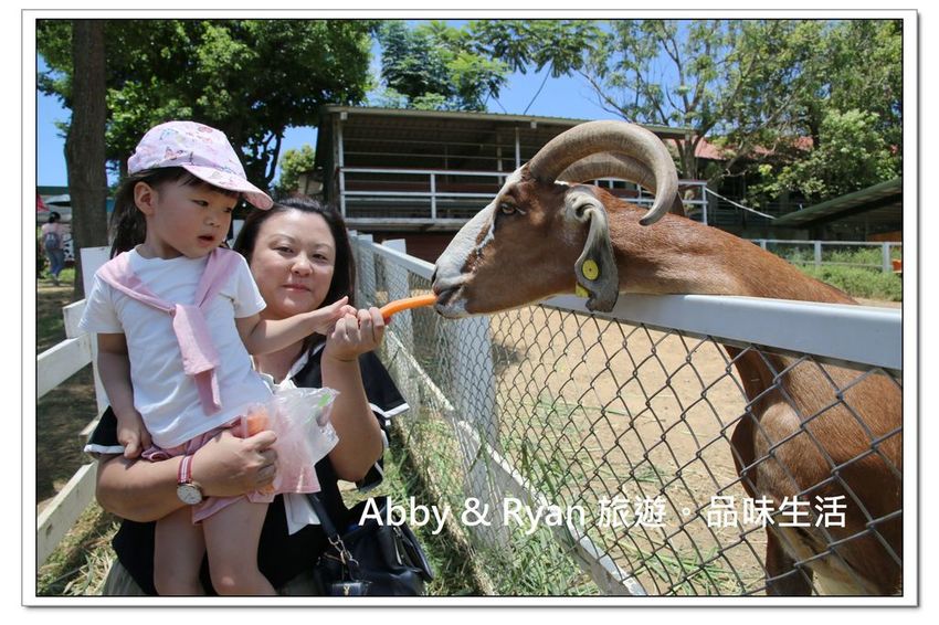 newIMG_2596.jpg newIMG_2596.jpg