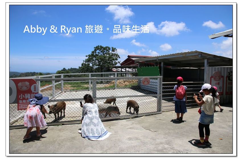 newIMG_2617.jpg newIMG_2617.jpg