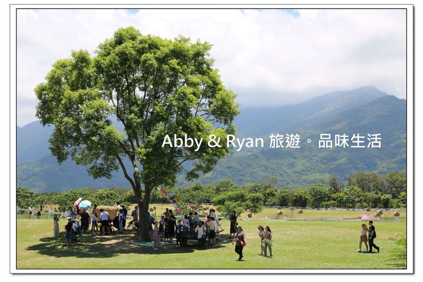 newIMG_2619.jpg newIMG_2619.jpg