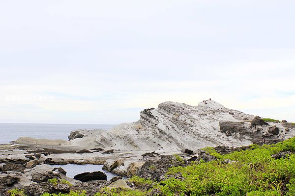 _MG_3467.jpg _MG_3467.jpg