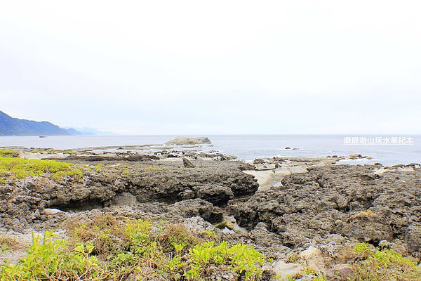 _MG_3463.jpg _MG_3463.jpg