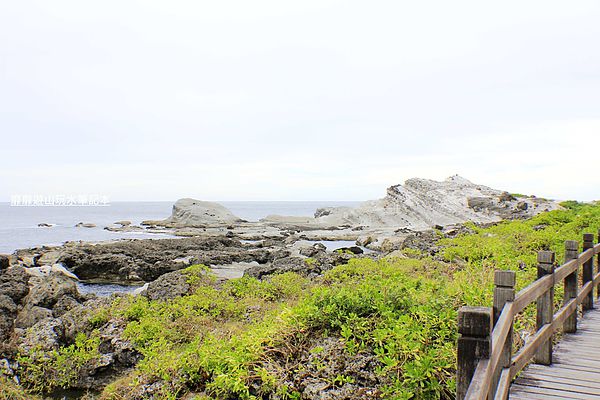 _MG_3462.jpg _MG_3462.jpg