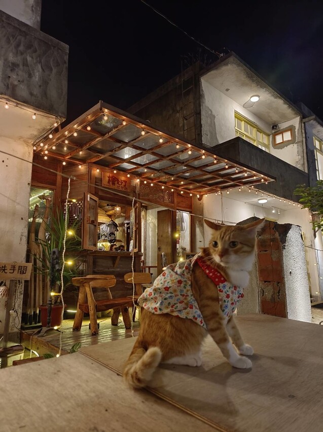 388868.jpg - 【花蓮市區】河南扯麵推超級美味番茄蛋麵+又一村檜好了咖啡館。寵物友善店家