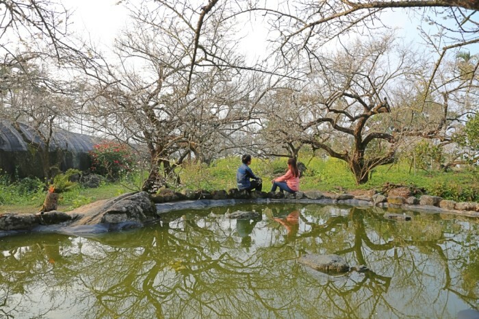 南投咖啡推薦墨啡咖啡館｜南投在中興新村裡品嚐手沖咖啡.下午茶手作甜點.千層麵.排餐，庭園咖啡