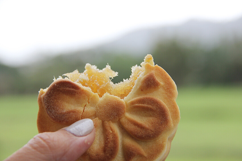 也煦｜台灣百年老餅舖精緻漢餅、古早味大餅減糖配方蘊藏傳統美味，滿足我的荖靈魂！