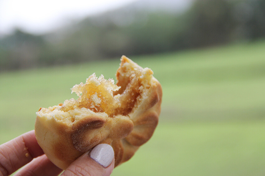也煦｜台灣百年老餅舖精緻漢餅、古早味大餅減糖配方蘊藏傳統美味，滿足我的荖靈魂！