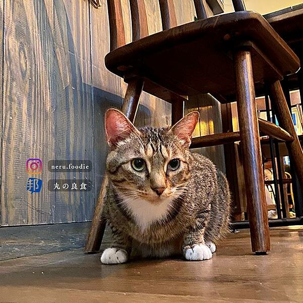 台北市中山區疍宅EggHost Cafe｜行天宮深夜咖啡廳推薦 @neru.foodie / 丸の良食