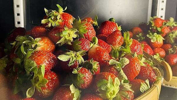 大IMG_2953.jpeg 大IMG_2953.jpeg