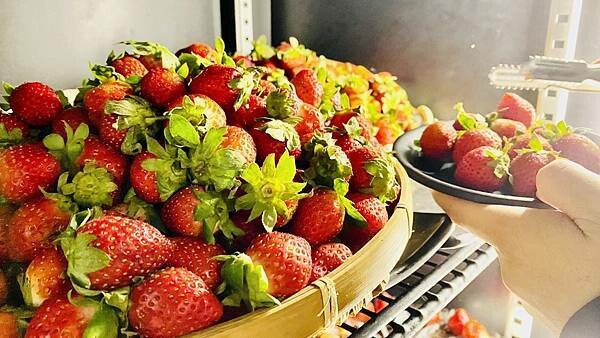 大IMG_2972.jpeg 大IMG_2972.jpeg