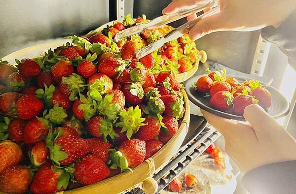 大IMG_2971.jpeg 大IMG_2971.jpeg