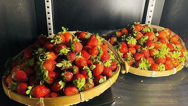 大IMG_2960.jpeg 大IMG_2960.jpeg