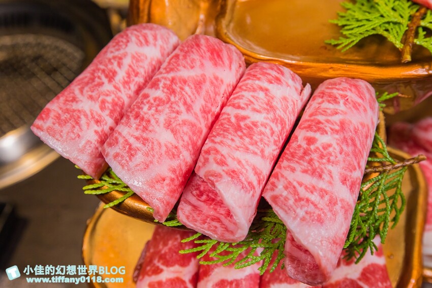 台北市大安區禾馬燒肉/跟手臂一樣長的壁咚蝦+超浮誇巨牛拼盤/不定期小遊戲開心來吃肉喝酒/台北燒肉推薦