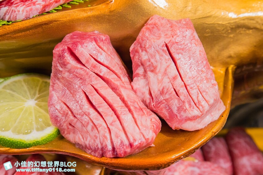 台北市大安區禾馬燒肉/跟手臂一樣長的壁咚蝦+超浮誇巨牛拼盤/不定期小遊戲開心來吃肉喝酒/台北燒肉推薦