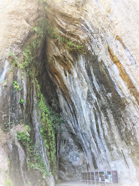 //花蓮景點//花蓮海線一日遊。台11。芭崎眺望臺。新社梯田。石梯坪。北回歸線標碑海線。八仙洞。石門班哨角。女孩MOM實在太瘋狂了，從花蓮市騎到台東長濱77公里，青春的記憶就是嚴重曬傷QQ