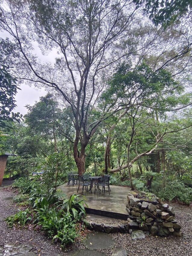 396957.jpg - 【新竹.尖石】自然在家書坊。寧靜玻璃屋超適合閱讀。闆娘不藏私與顧客分享藏書。咖啡+甜點需fb預約