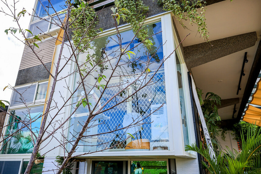 【宜蘭景點】太平山下史忽仔Cafe，香港人開的貓咪咖啡館