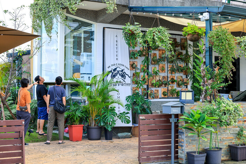 【宜蘭景點】太平山下史忽仔Cafe，香港人開的貓咪咖啡館