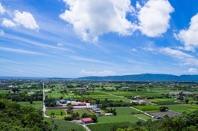 【花蓮景點】與太平洋下棋!!沐浴楓林步道,一覽阡陌縱橫田園美景