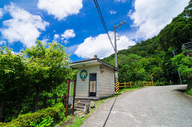 【花蓮景點】與太平洋下棋!!沐浴楓林步道,一覽阡陌縱橫田園美景