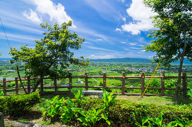【花蓮景點】與太平洋下棋!!沐浴楓林步道,一覽阡陌縱橫田園美景