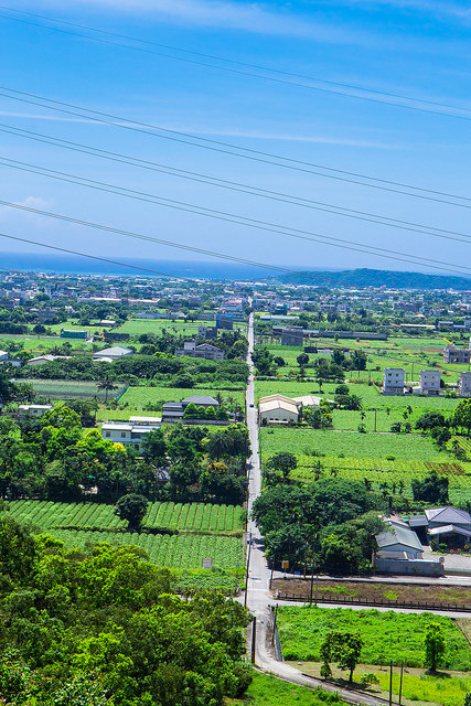 【花蓮景點】與太平洋下棋!!沐浴楓林步道,一覽阡陌縱橫田園美景