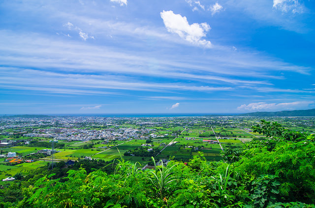 【花蓮景點】與太平洋下棋!!沐浴楓林步道,一覽阡陌縱橫田園美景