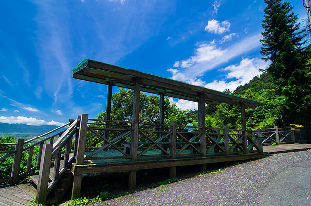 【花蓮景點】與太平洋下棋!!沐浴楓林步道,一覽阡陌縱橫田園美景