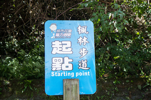 【花蓮景點】與太平洋下棋!!沐浴楓林步道,一覽阡陌縱橫田園美景