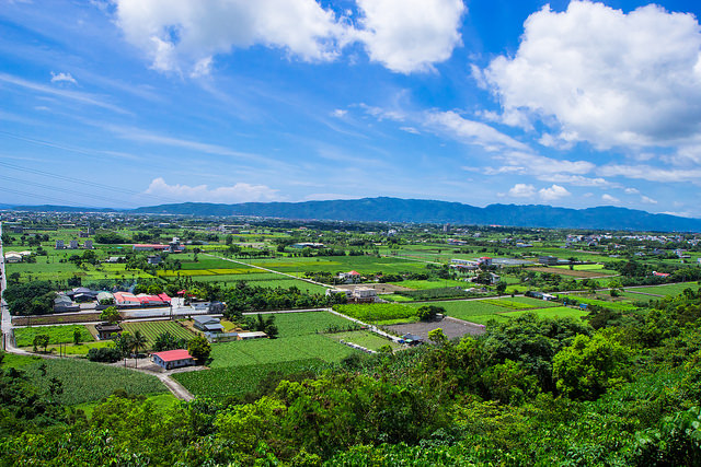 【花蓮景點】與太平洋下棋!!沐浴楓林步道,一覽阡陌縱橫田園美景