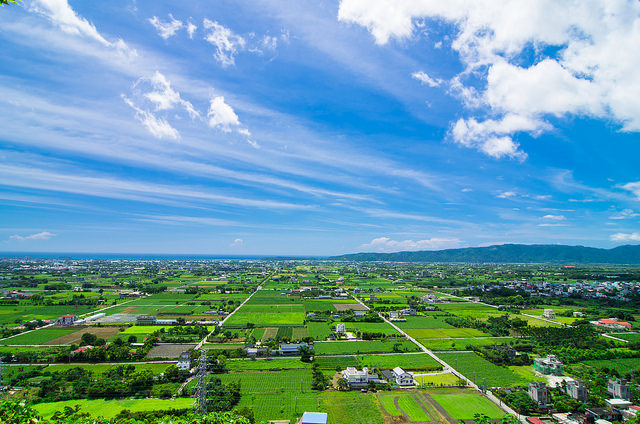 【花蓮景點】與太平洋下棋!!沐浴楓林步道,一覽阡陌縱橫田園美景