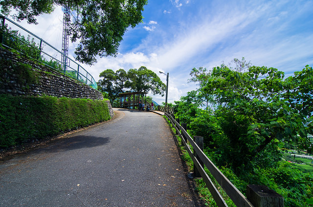 【花蓮景點】與太平洋下棋!!沐浴楓林步道,一覽阡陌縱橫田園美景