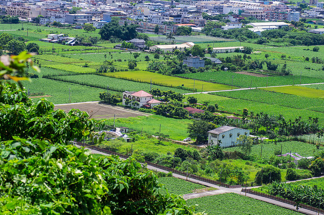【花蓮景點】與太平洋下棋!!沐浴楓林步道,一覽阡陌縱橫田園美景