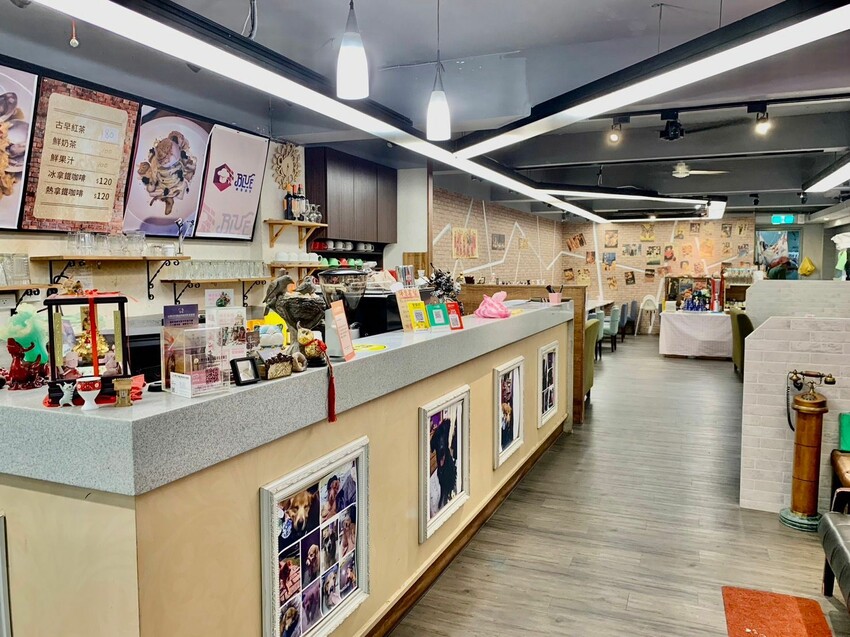 【台北】西門町美食｜西門巷弄美食 Blue磚塊義大利麵 俗又大碗的平價義大利麵 特色牽絲墨西哥烤餅必點！