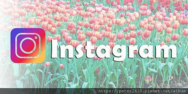 【新北市】囧貓苑子｜超人氣貓咖啡廳推薦，店家自製餐點有水準，