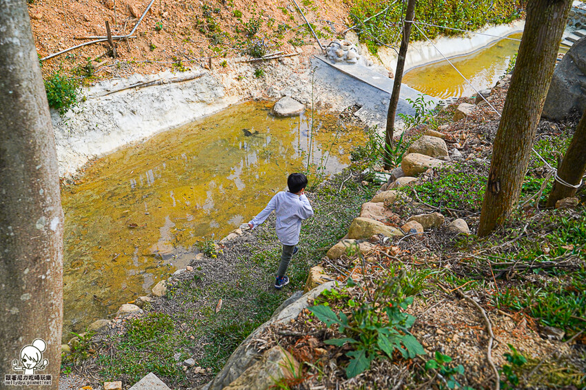 自然森林系民宿推薦 葉子森林住宿 ，貼近大自然熱門首選 X 親子住宿、日月潭住宿 - 跟著尼力吃喝玩樂＆親子生活