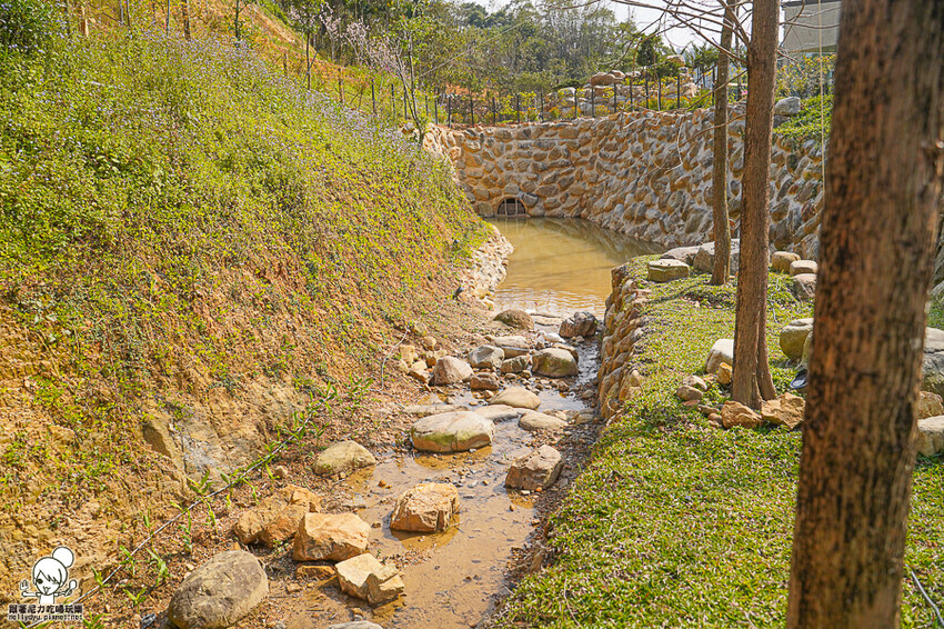 自然森林系民宿推薦 葉子森林住宿 ，貼近大自然熱門首選 X 親子住宿、日月潭住宿 - 跟著尼力吃喝玩樂＆親子生活