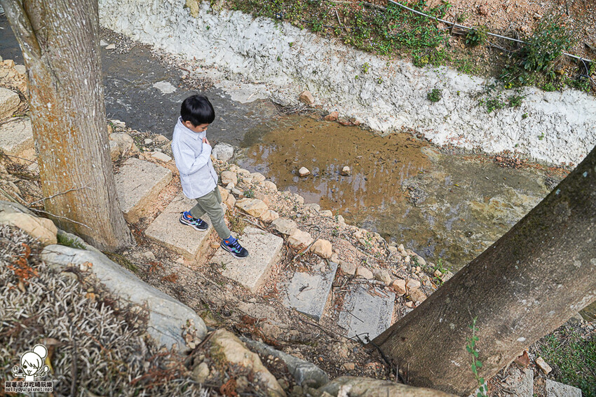 自然森林系民宿推薦 葉子森林住宿 ，貼近大自然熱門首選 X 親子住宿、日月潭住宿 - 跟著尼力吃喝玩樂＆親子生活