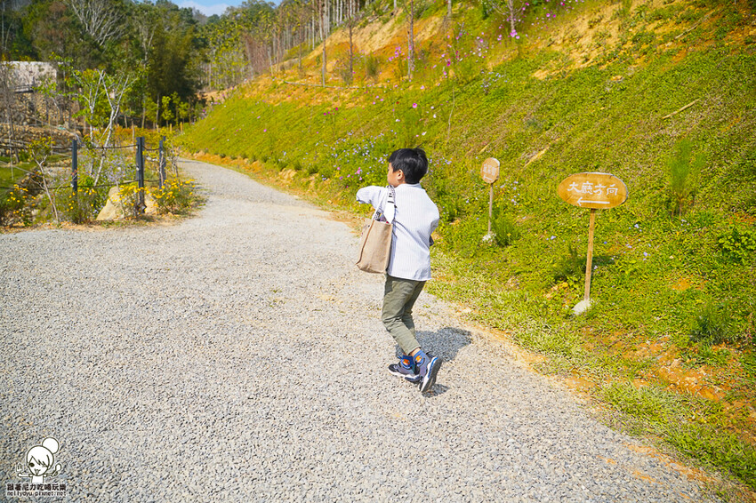 自然森林系民宿推薦 葉子森林住宿 ，貼近大自然熱門首選 X 親子住宿、日月潭住宿 - 跟著尼力吃喝玩樂＆親子生活