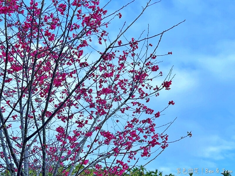 葉子秘境 森林系Villa》佔地1.2萬坪森林系住宿，新型態輕奢華免搭帳露營，一泊二食、獨立衛浴超享受、房內