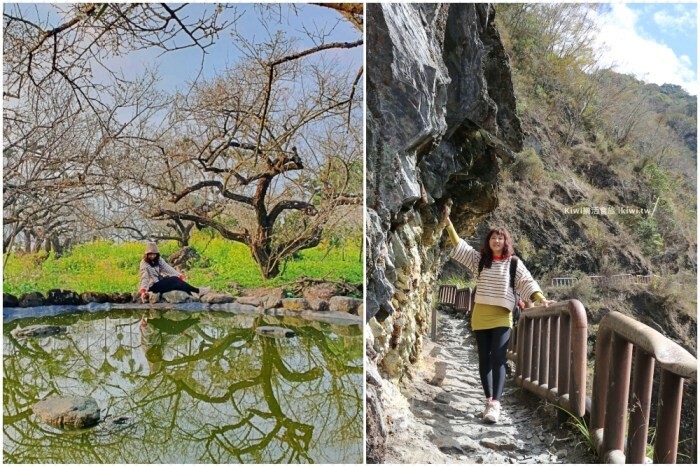 南投草屯美食三筋豬排，三筋南投1號店｜獨家浮誇系肉肉山梅山排骨定食太厲害.夢幻草莓季鬆餅超好吃，近草屯