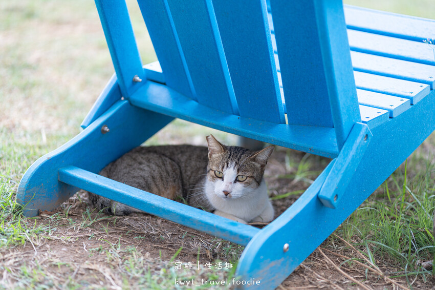 恆春住宿推薦-墾丁勿忘我城堡莊園-恆春包棟民宿推薦-墾丁包棟民宿推薦-關山住宿推薦-墾丁兩天一夜遊懶人包 (81 - 106).jpg