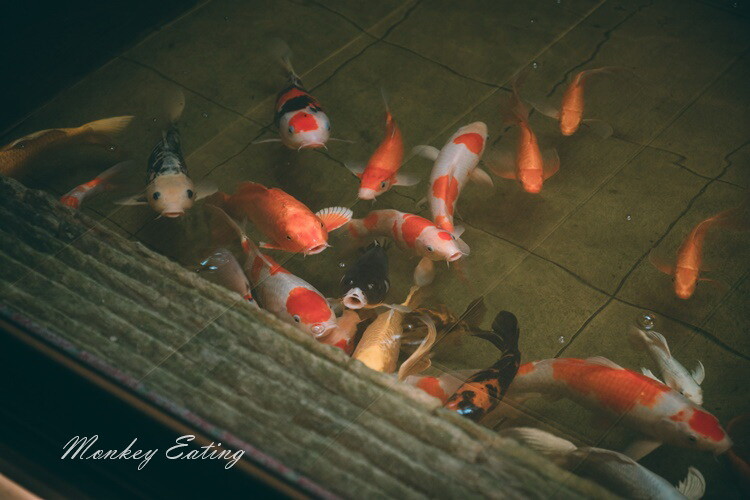 【南投竹山美食】山茶話堂｜質感時尚茶館，甜點咖啡下午茶。南投下午茶推薦 - 貪吃猴的幻想