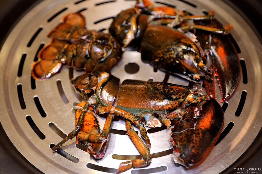 新北市新莊區海鮮控必收名單！超猛龍虎斑、波士頓龍蝦齊上桌 還有雞湯喝到飽  管家式桌邊服務｜濤濤海鮮蒸氣鍋(新莊美食