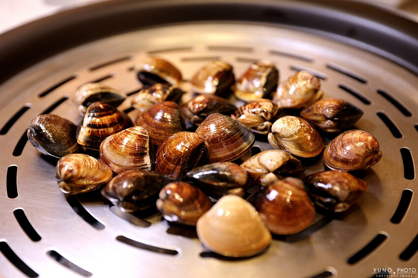 新北市新莊區海鮮控必收名單！超猛龍虎斑、波士頓龍蝦齊上桌 還有雞湯喝到飽  管家式桌邊服務｜濤濤海鮮蒸氣鍋(新莊美食