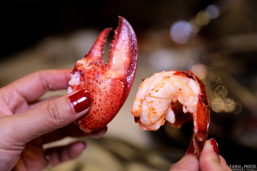 新北市新莊區海鮮控必收名單！超猛龍虎斑、波士頓龍蝦齊上桌 還有雞湯喝到飽  管家式桌邊服務｜濤濤海鮮蒸氣鍋(新莊美食