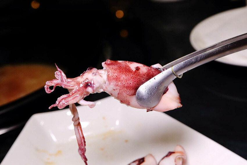 新莊美食推薦,新莊典華濤濤海鮮蒸氣鍋,新鮮海鮮、現蒸現吃,C