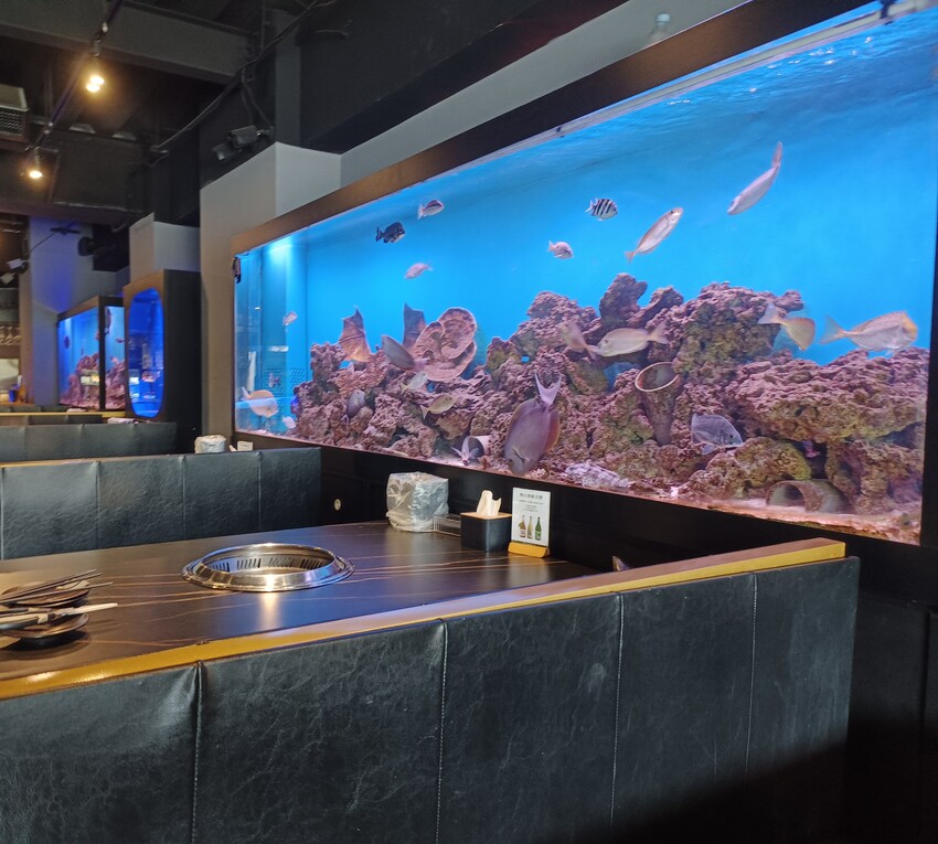 新竹美食山上走走推薦！實測1580無菜單料理，頂級燒肉夢幻水母缸陪吃。